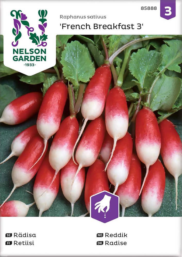 Nelson Garden Reddik 'French Breakfast' Frø