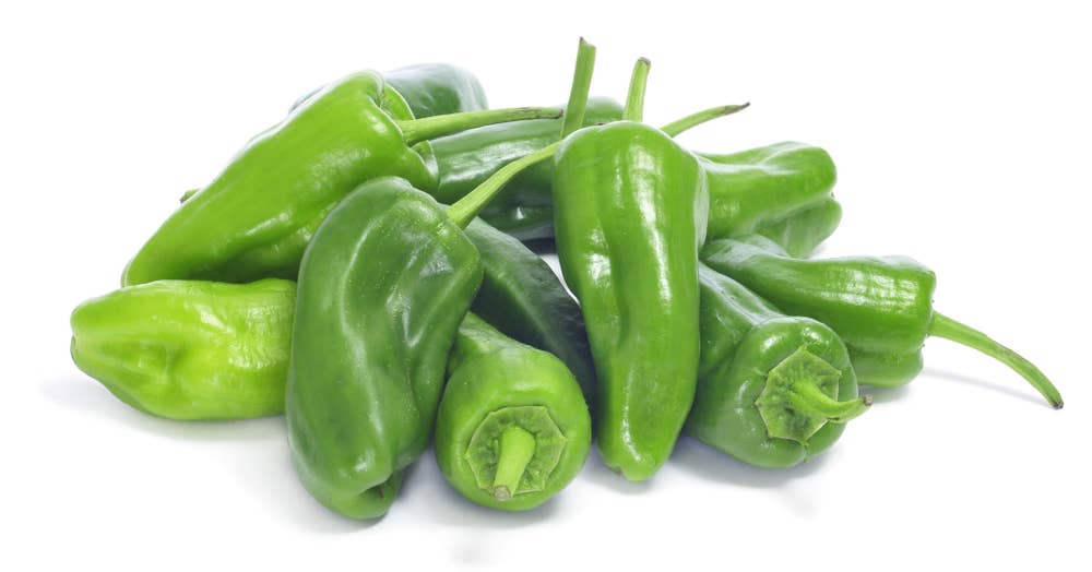 Paprika Padron Marokko / Nederland