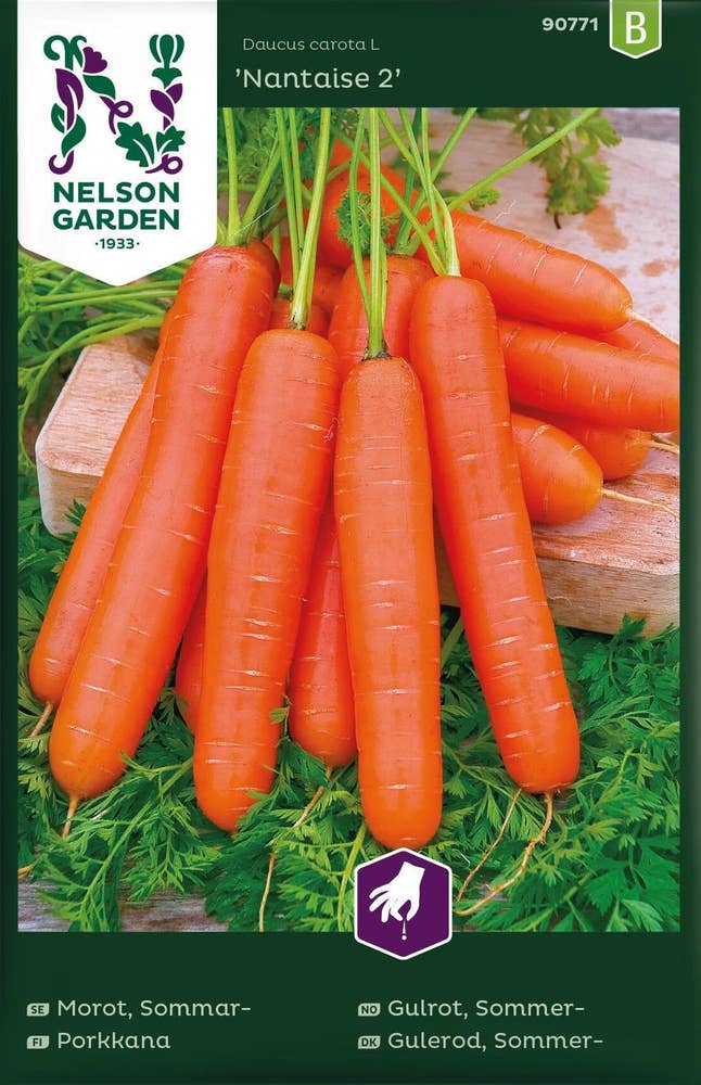 Nelson Garden Gulrot sommer Nantaise 2