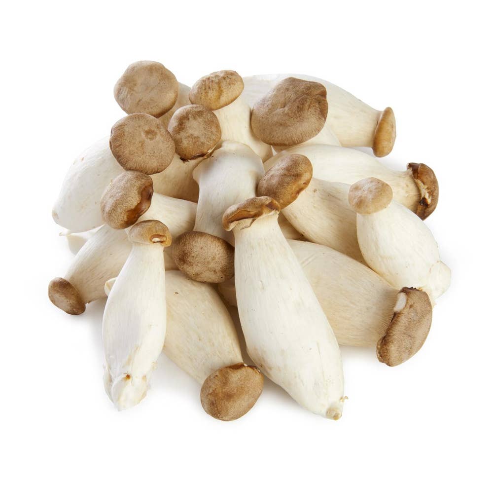 Mini konge pleos/ østers