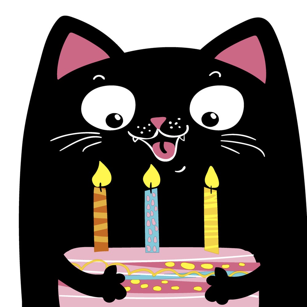 Paper + Design Servietter Birthday Cat 3 lag, 33x33cm