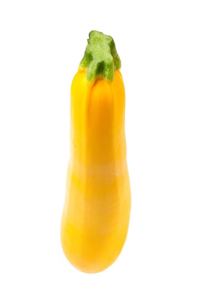 Gul Squash Nederland/ Spania