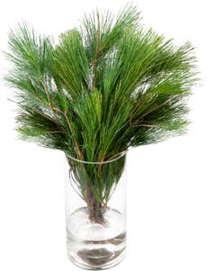 FreshFlowers Furu 50cm