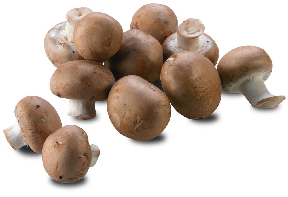 Aromasopp Polen
