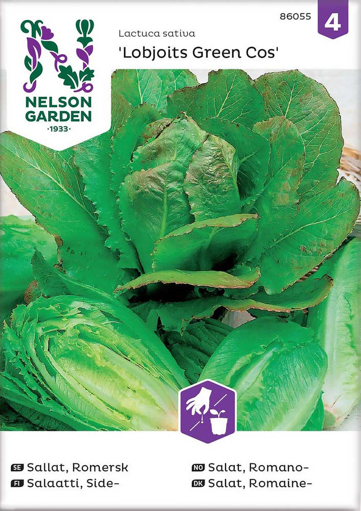 Nelson Garden Romanosalat Frø