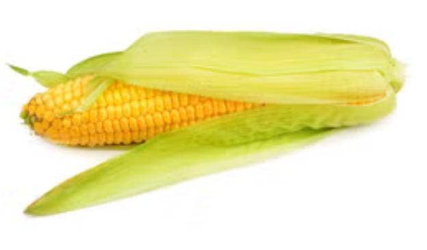 Fersk Mais Norge