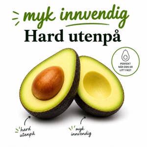 Ekstra Stor Avokado moden Sør Afrika / Spania
