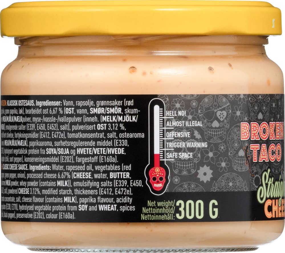 Broken Taco Straight Cheese Dip