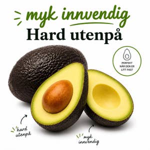 Avokado modnet Colombia/ Peru/ SørAfrika