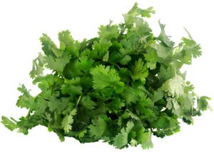 Fersk Koriander i Pose, Etiopia/ Kenya