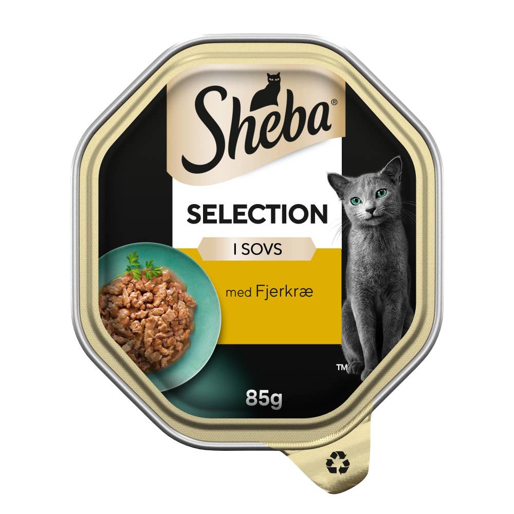 Sheba Selection Våtfôr til katter i skål med lam og kylling i saus