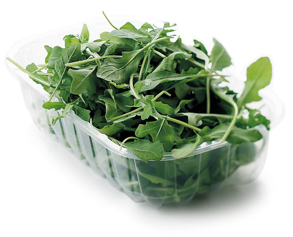 Ruccola Danmark