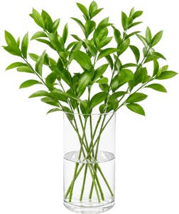MIMEA Ruscus 50cm