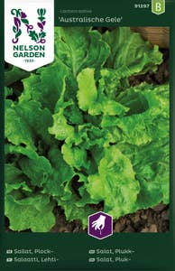 Nelson Garden Salat Australische gele