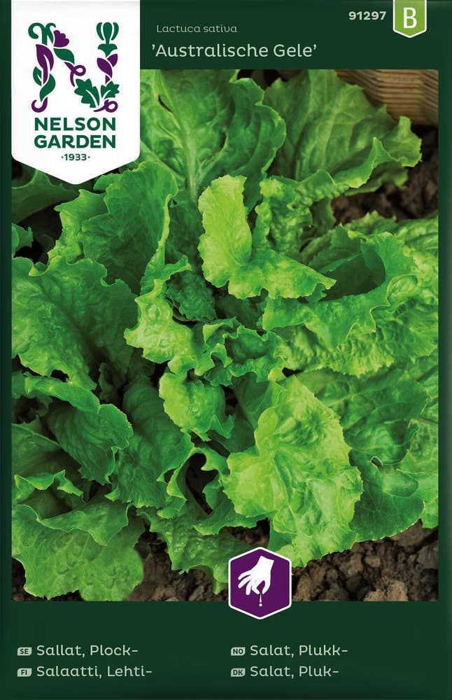 Nelson Garden Salat Australische gele
