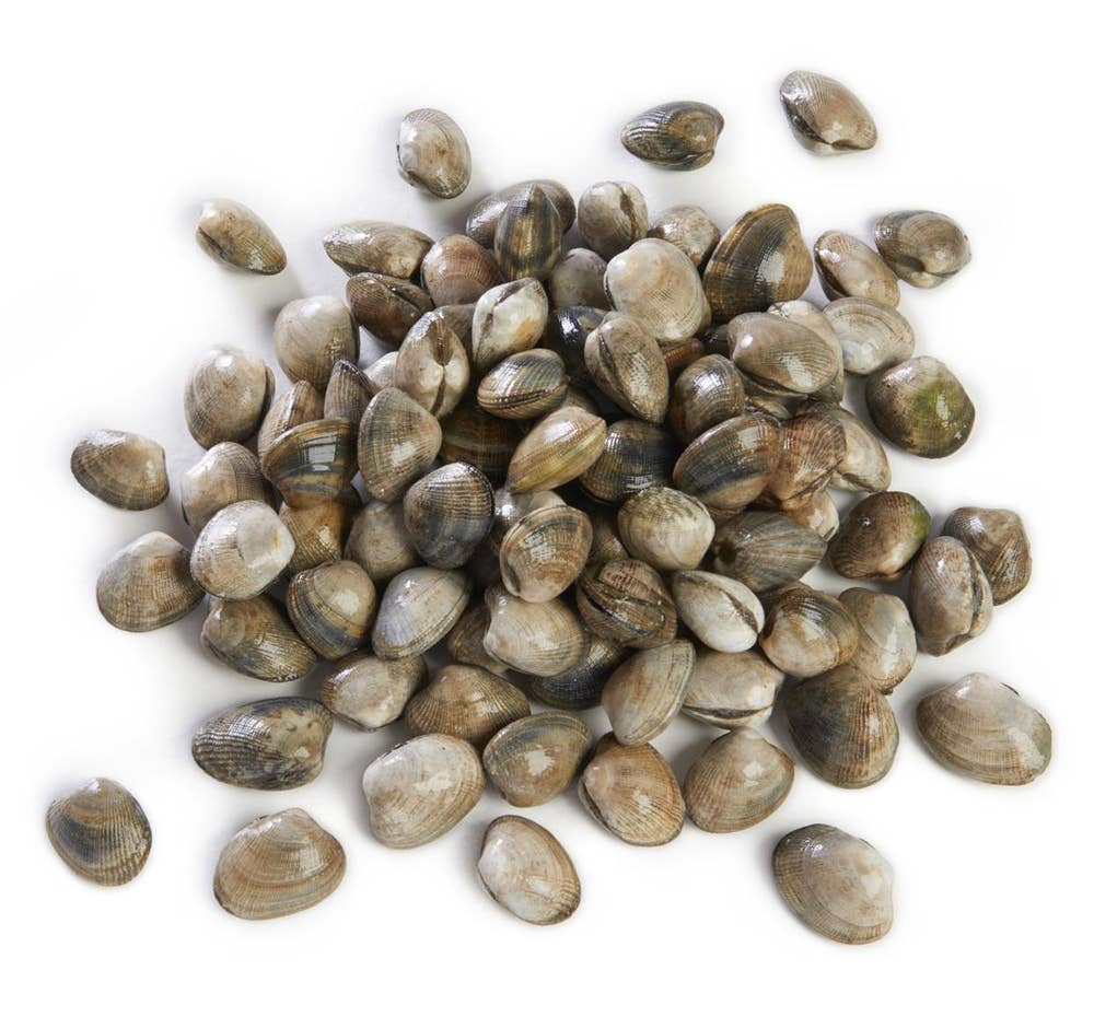 ferske Vongoleskjell