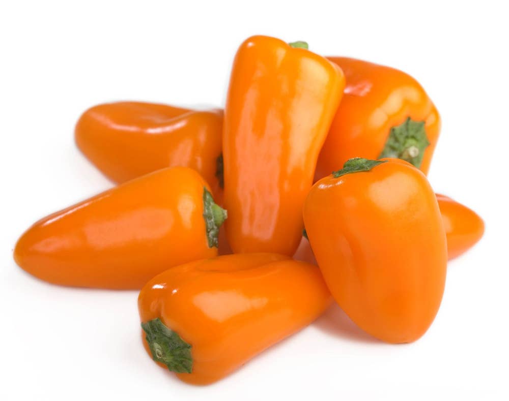Orange mini Paprika, ekstra søte Norge