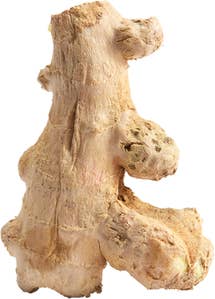 Ingefær Kina / Brasil