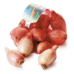 Sjalottløk I nett, Nederland