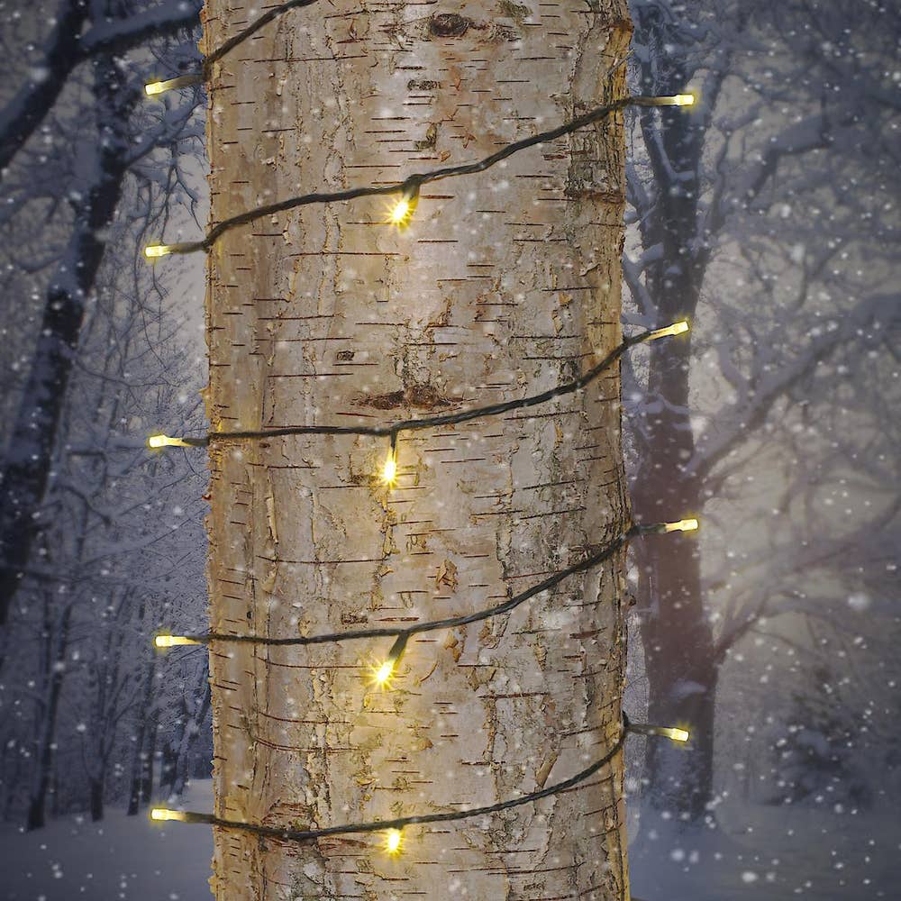 Northlight Diodeslynge 80stk lys Varmhvit 12m med lys + 10m tilkoblingskabel