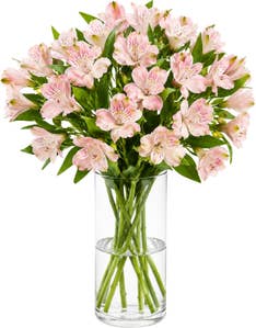 MIMEA Inkalilje rosa 45cm