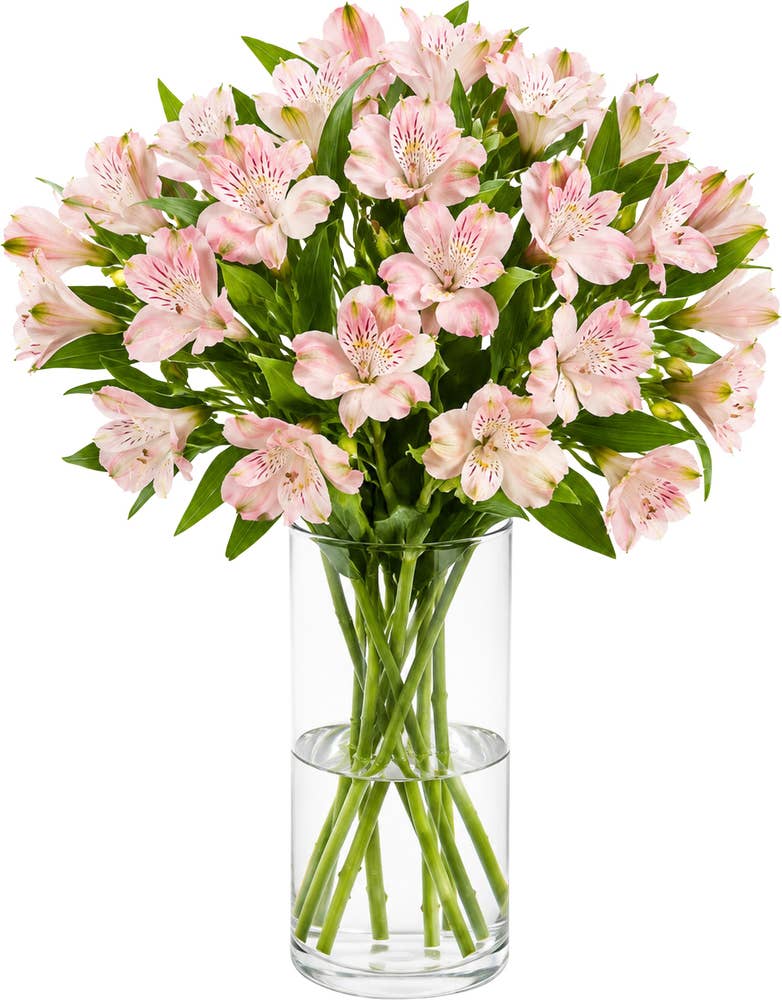 MIMEA Inkalilje rosa 45cm
