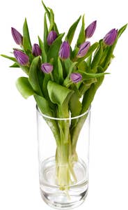 FreshFlowers Tulipaner Lilla