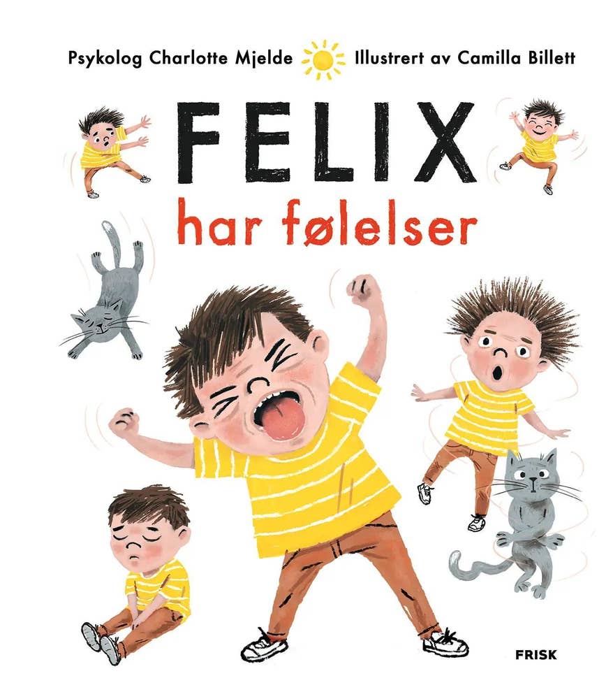 ARK Felix har følelser Charlotte Mjelde, innbundet