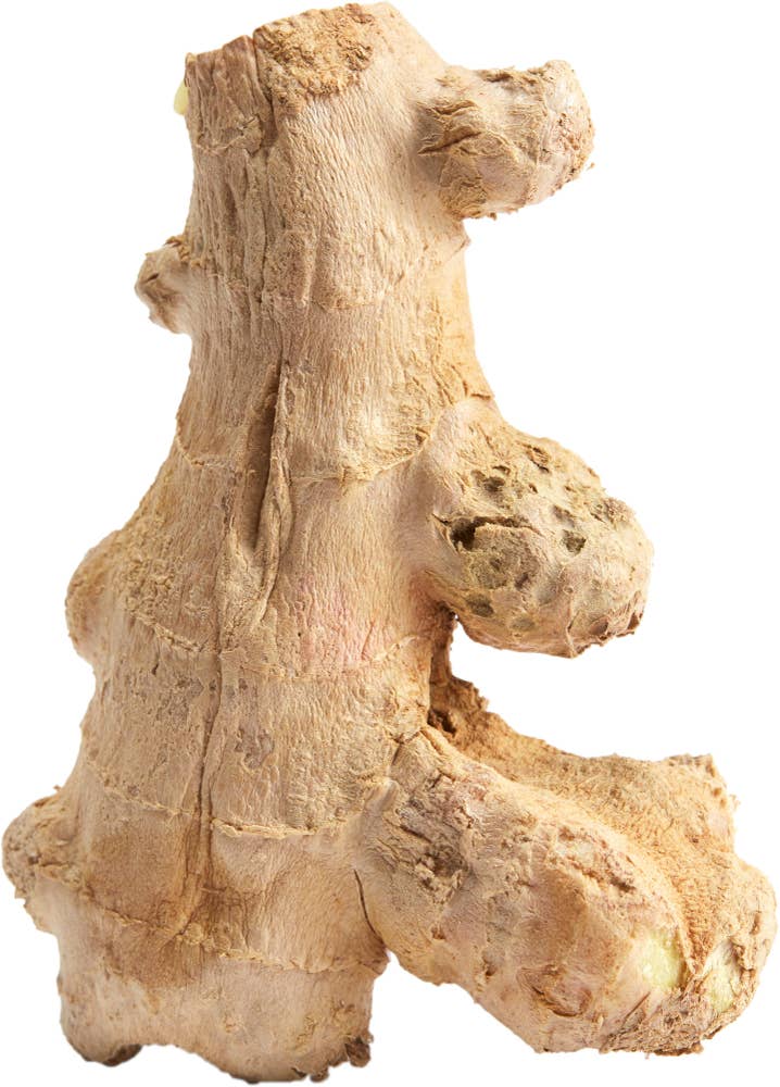 Ingefær Kina / Brasil