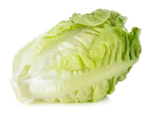 Hørte Gård Økologisk hjertesalat Norge