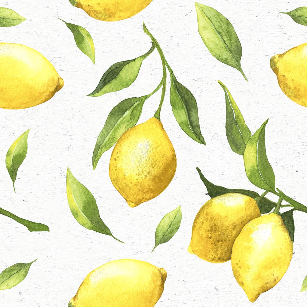 Paper+Design Servietter Citrus 3 lag, 33x33cm