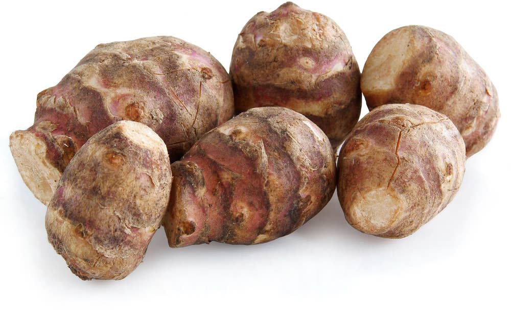 Jordskokk Tyrkia/ Frankrike