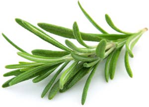 Fersk Rosmarin i Pose, Etiopia / Kenya