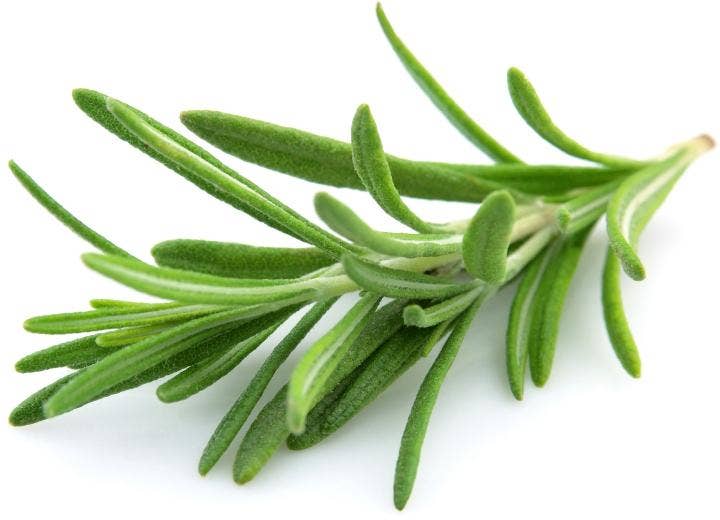 Fersk Rosmarin i Pose, Etiopia / Kenya