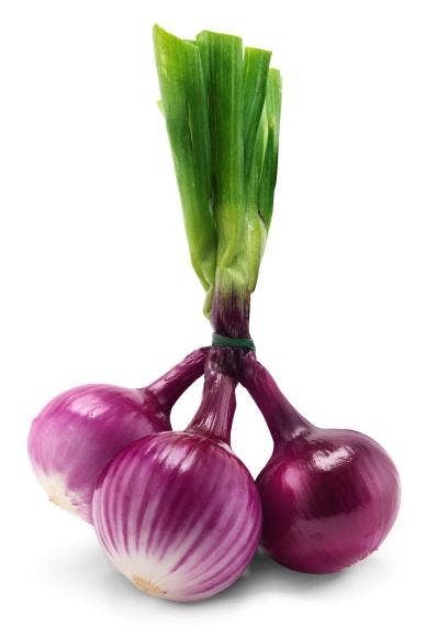 Fersk Rød løk i Bunt 500 g, Norge