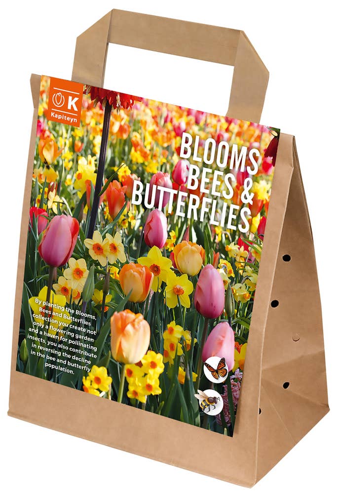 MIMEA Blomsterløk For Bier og Sommerfugler Pastel 25 Løk