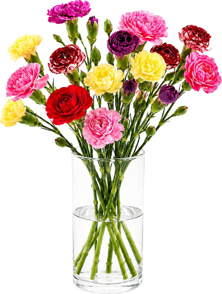 MIMEA Grennellik fargemix Ca 30 blomster og 8 stilker