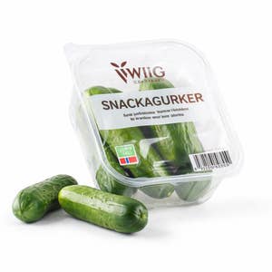 Wiig Gartneri Miniagurk Beger Norge