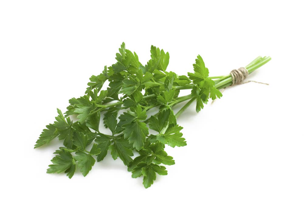 Fersk Bladpersille i Pose, Etiopia/ Italia