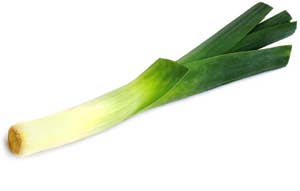 Purreløk