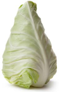 Huseby Gaard Spisskål Holland/ Spania