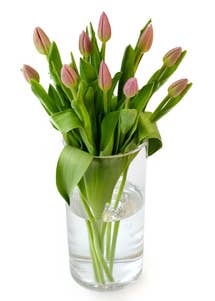 FreshFlowers Tulipaner Rosa