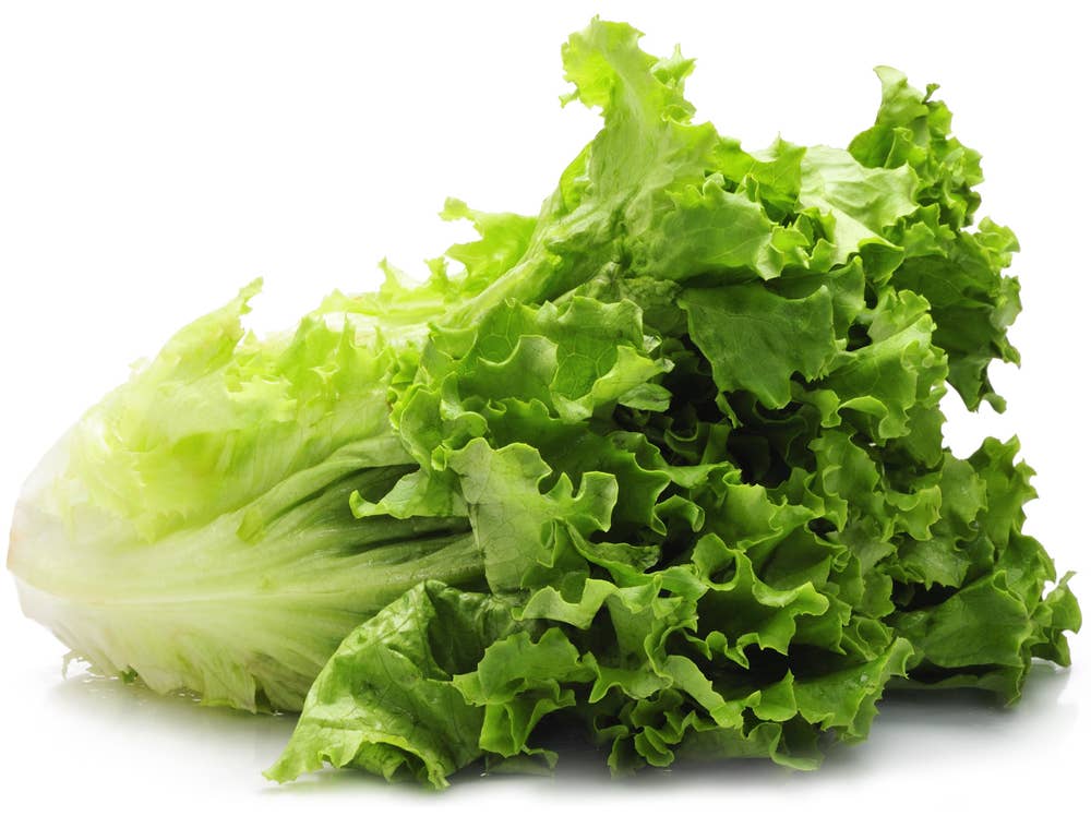 Huseby Gaard Romano Grønn Norge