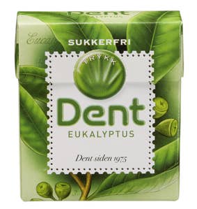 Dent Eukalyptus
