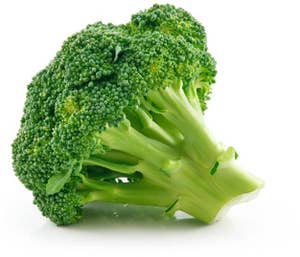 Økologisk Brokkoli Spania / Nederland