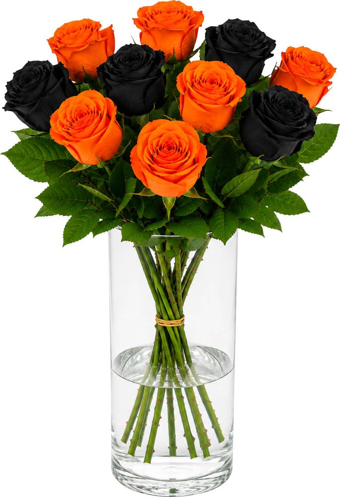 Store Halloweenroser 50 cm, 10 stk