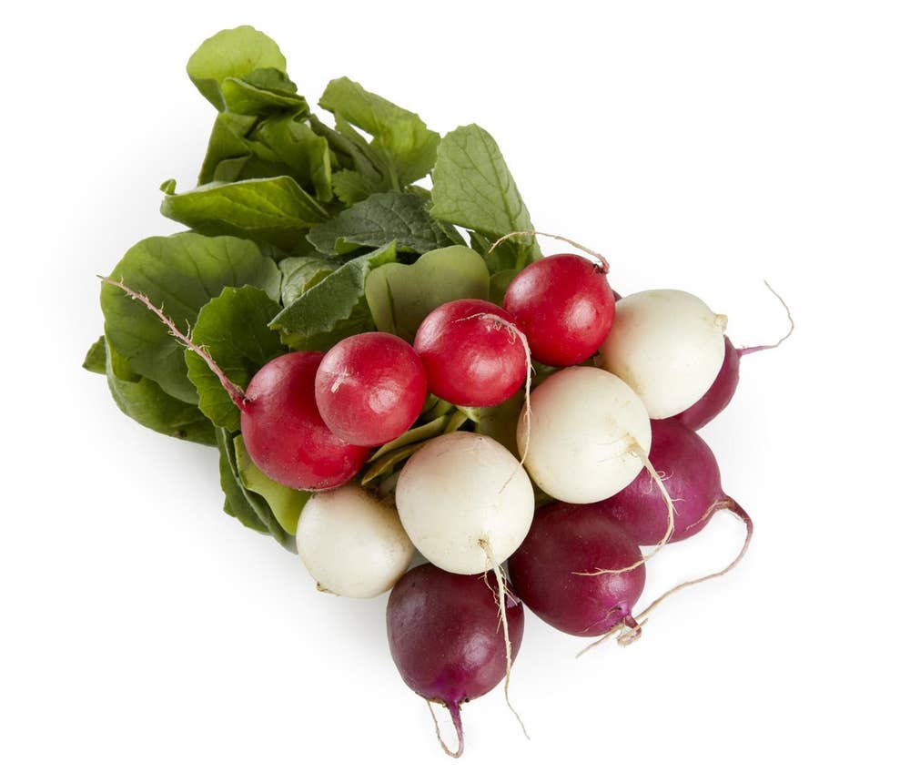 Reddik Regnbue flowpack Nederland