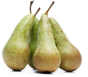 Store Pærer Conference Belgia / Nederland