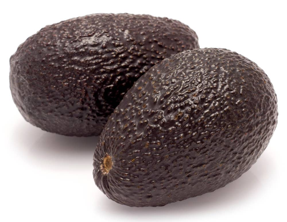 Avokado modnet Peru / Colombia / Sør-Afrika