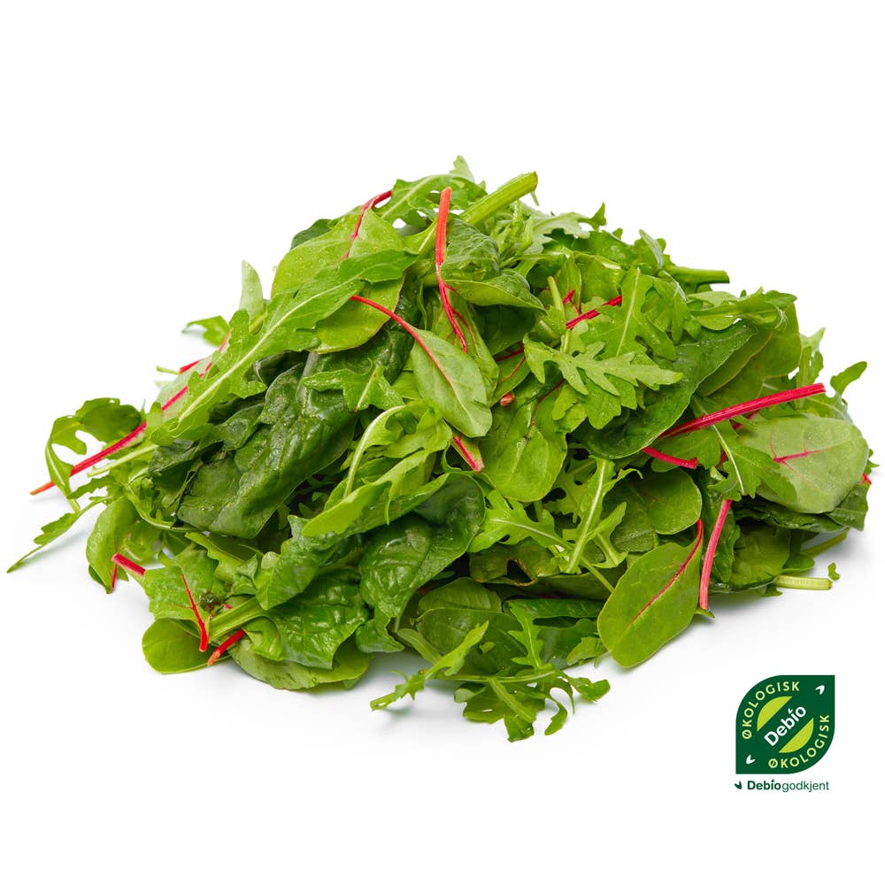 Hørte Gård Salat Mix, økologisk, 75 gram Italia